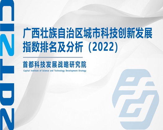 簧片一起草【成果发布】广西壮族自治区城市科技创新发展指数排名及分析（2022）